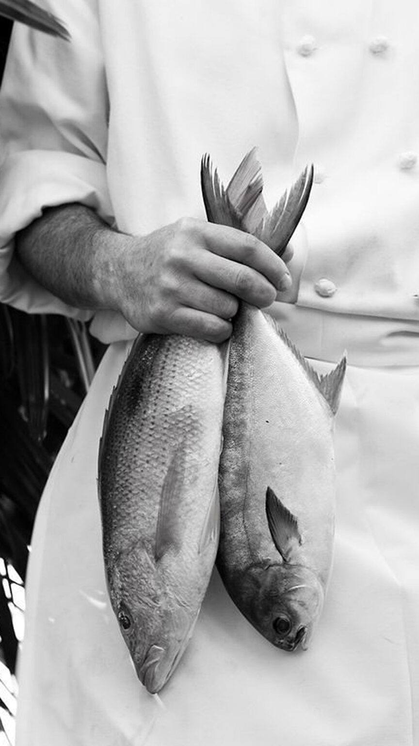 Food_fish_BW